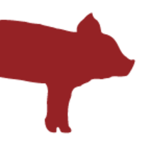 MailHog
