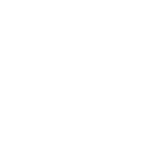 BI Business Intelligence GmbH